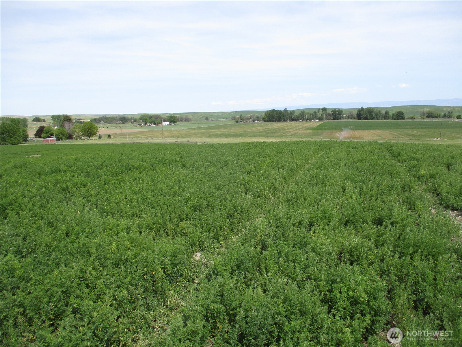 0 nka Ash Hollow Road, Touchet, WA 99360