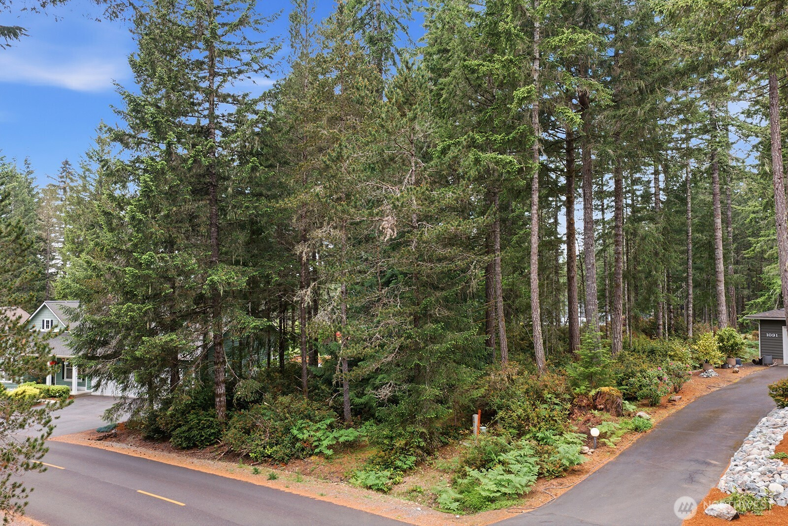 1081 E Vine Maple Lane, Union, WA 98592