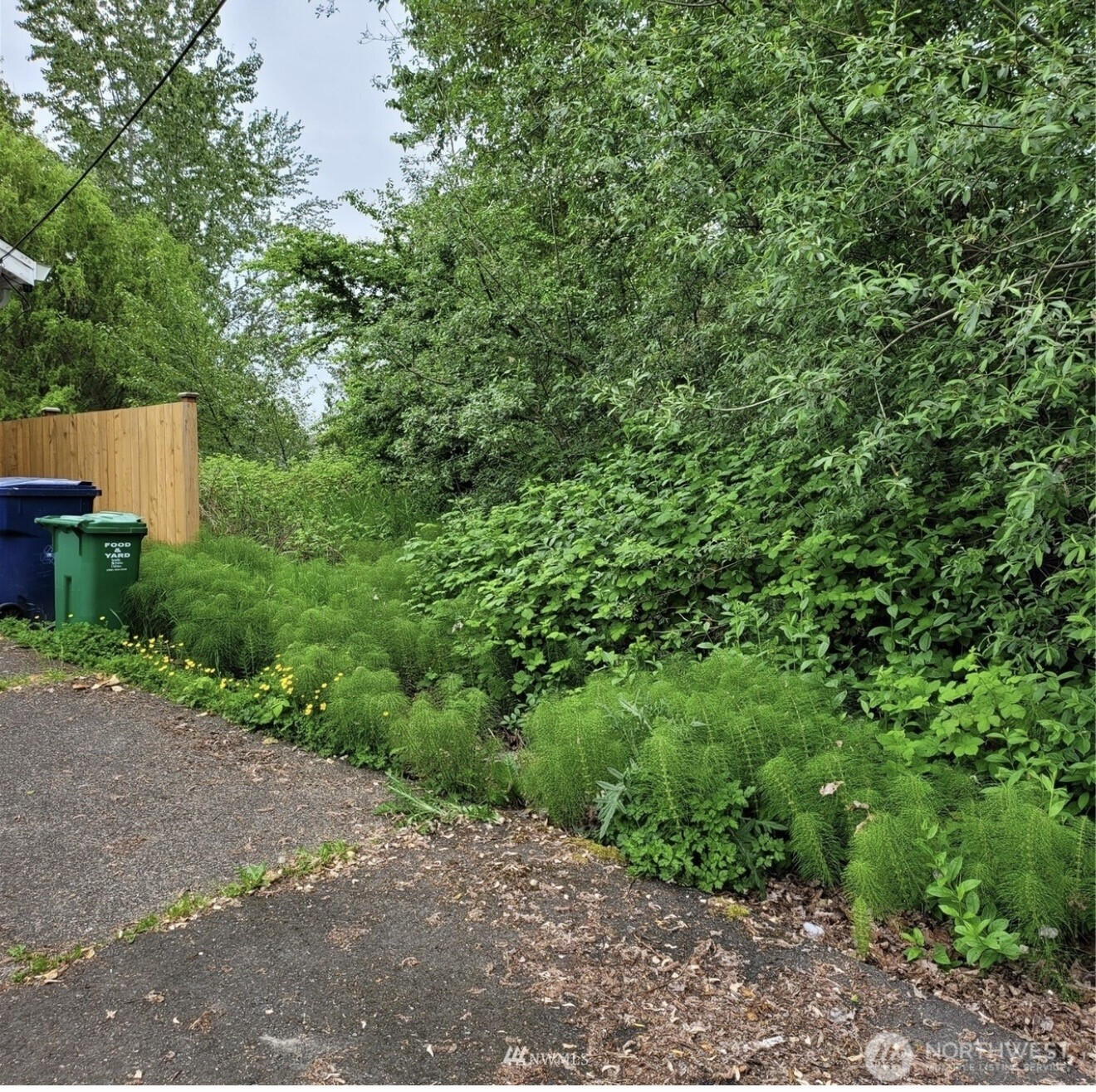 8824 3rd Ave S, Seattle, WA 98108