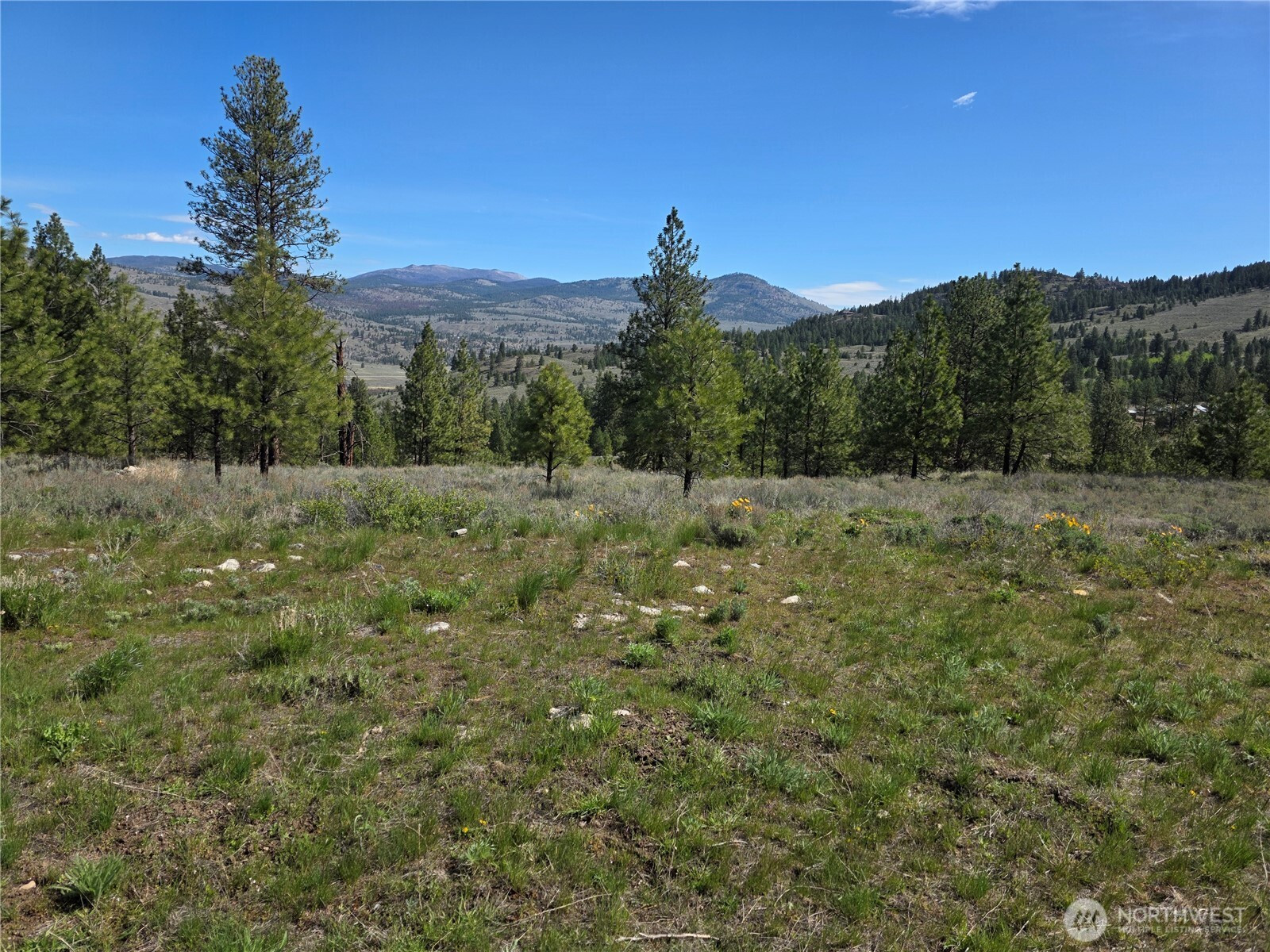 144 Reevas Basin Road, Tonasket, WA 98855