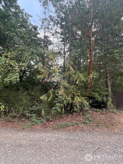 919 Sanford Avenue, Lakebay, WA 98349