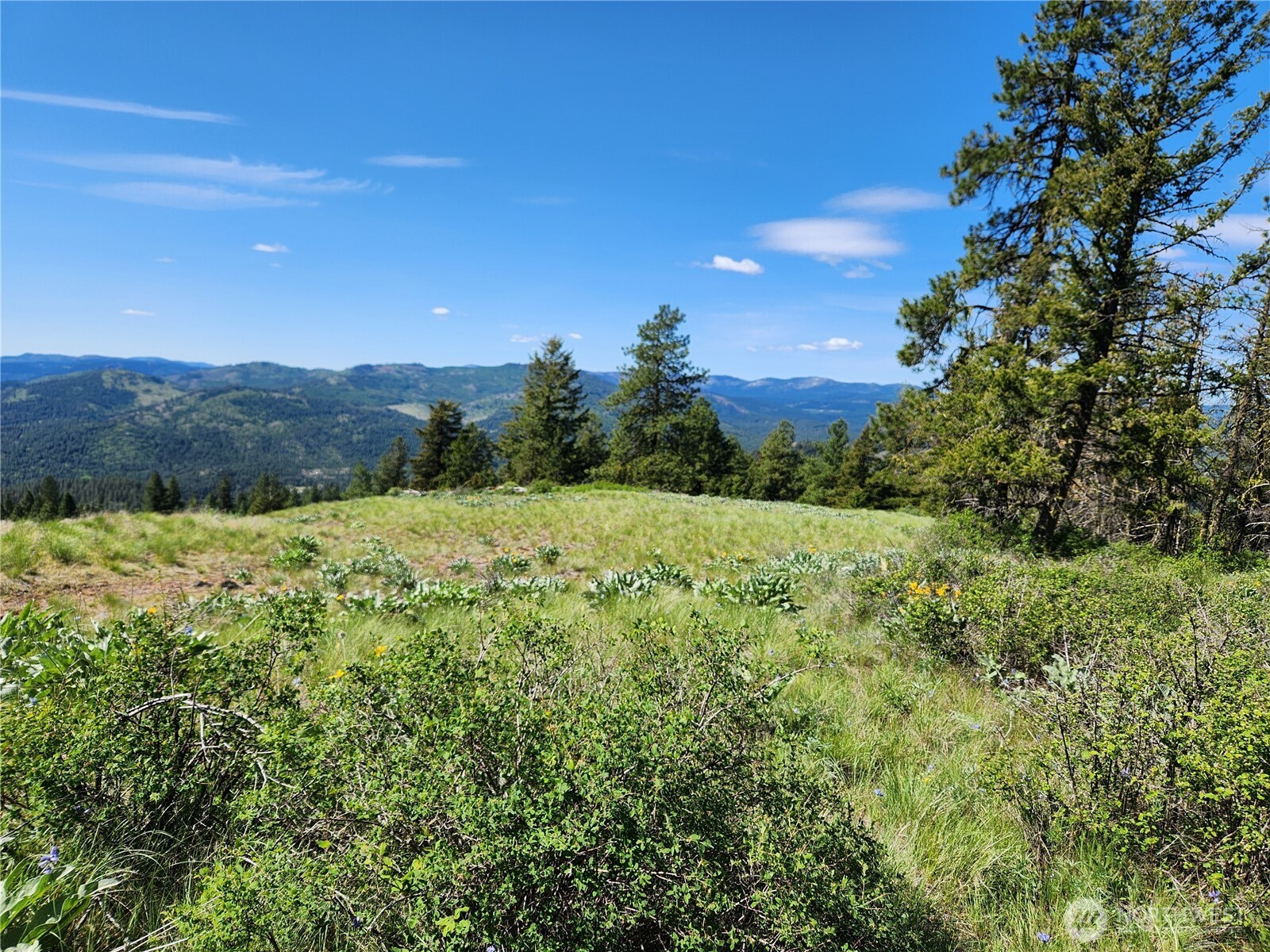 0 E Knob Hill Road, Republic, WA 99166
