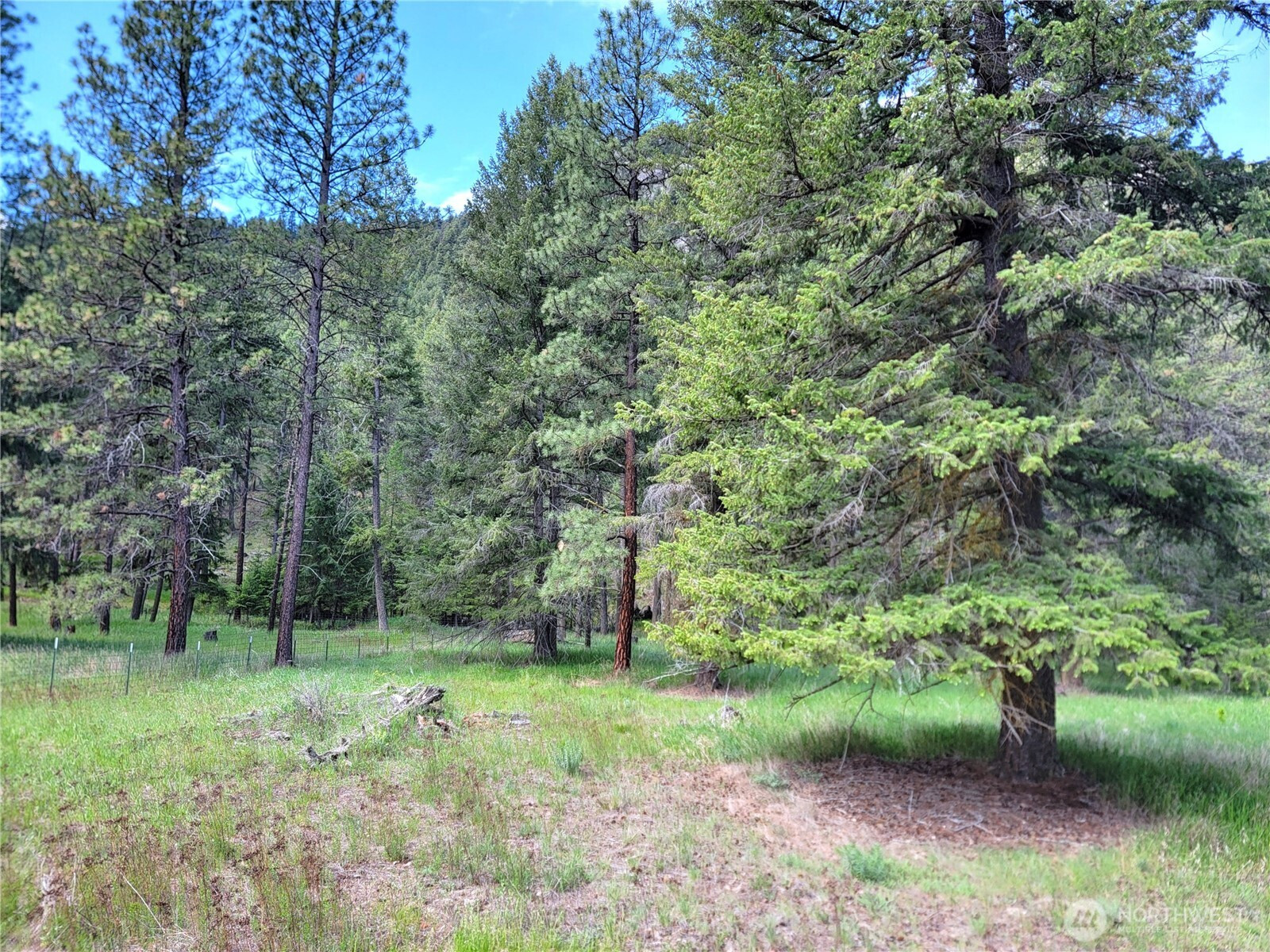 0 Evergreen Drive, Curlew, WA 99118