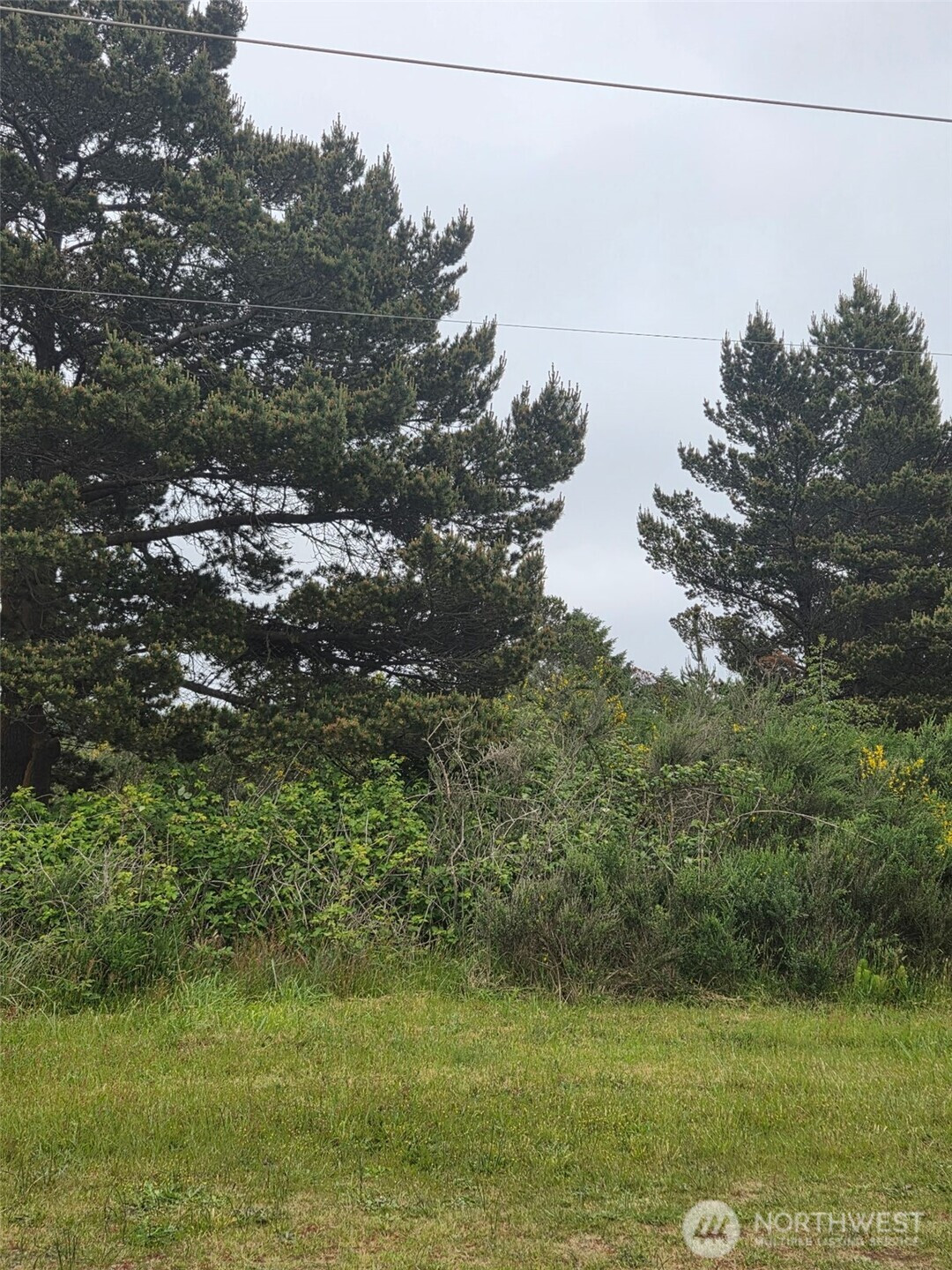556 Point Brown Avenue NE, Ocean Shores, WA 98569