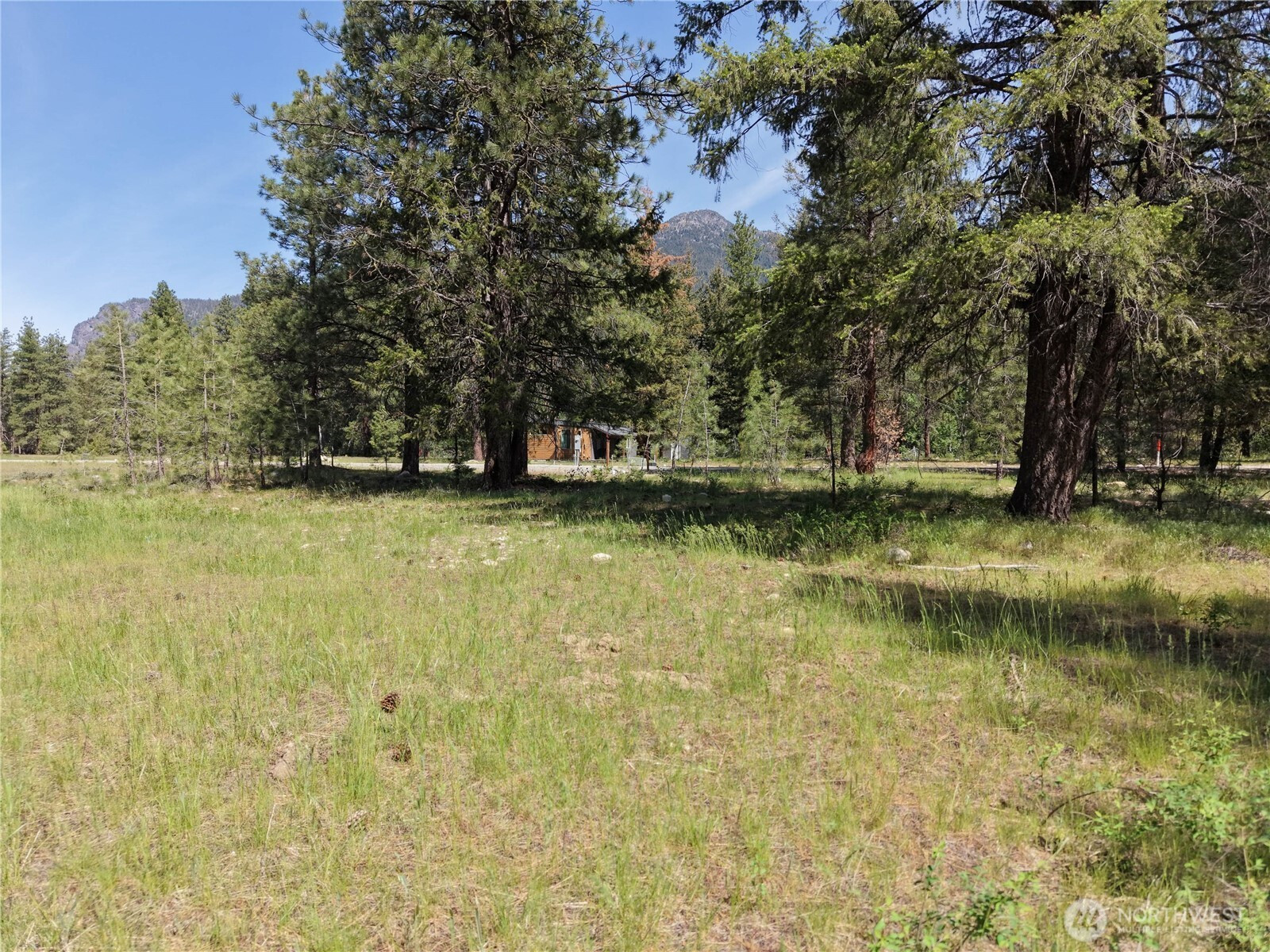 4 Mazama Meadows Lane, Mazama, WA 98833