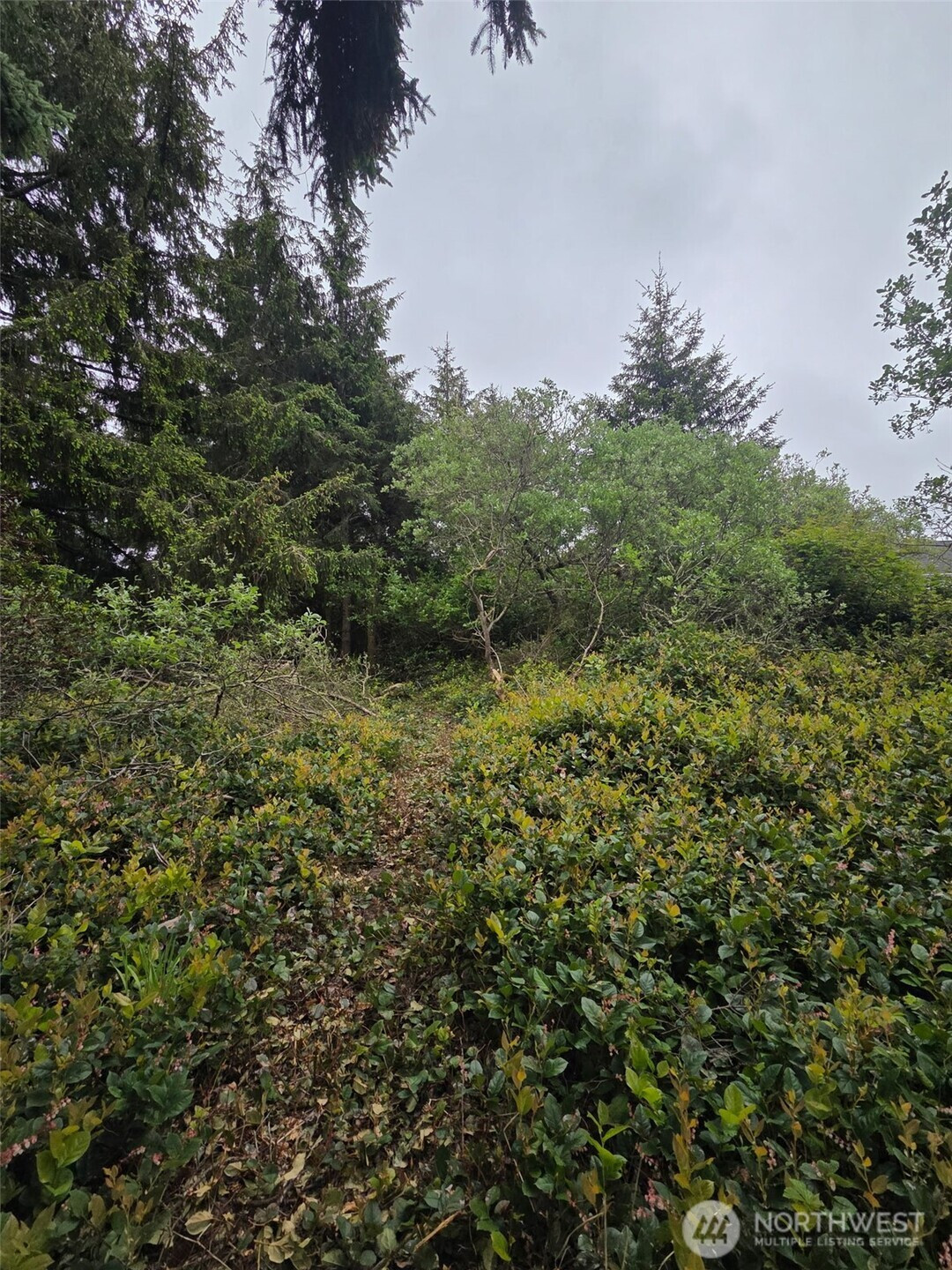 624 Wolf Ct SE, Ocean Shores, WA 98569