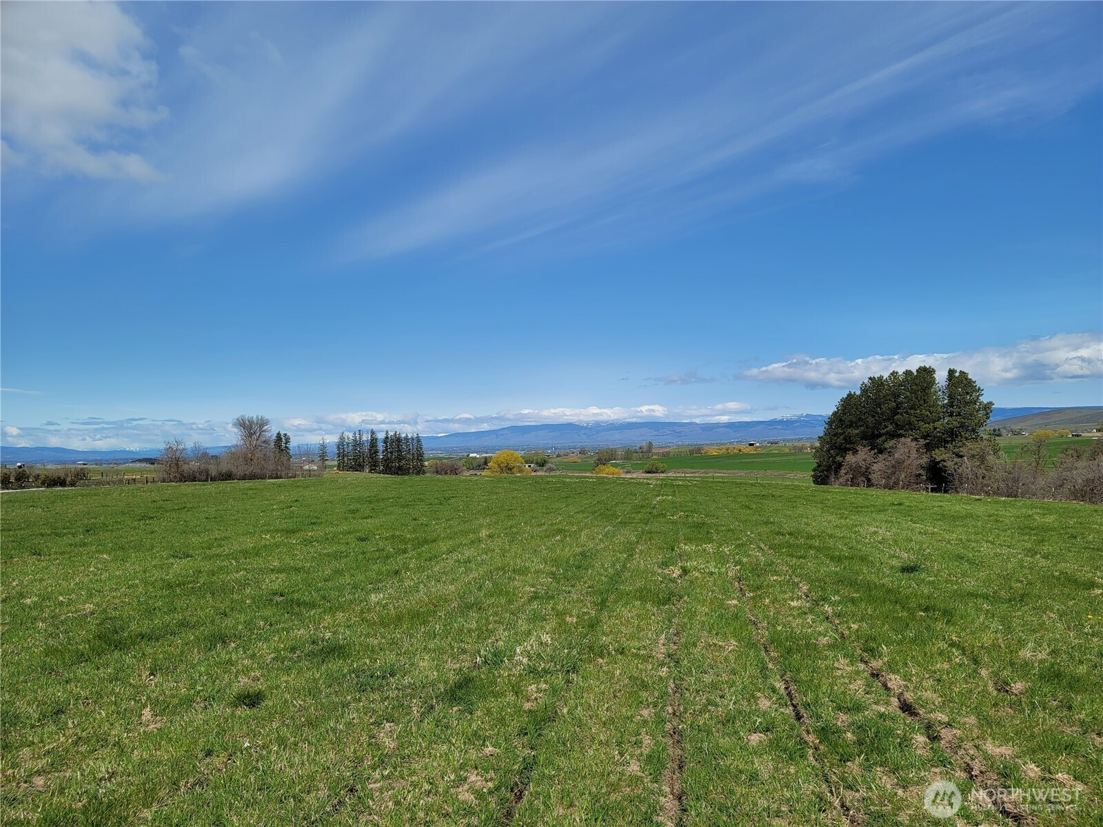 426 NKA Rolling Hill Drive, Ellensburg, WA 98926