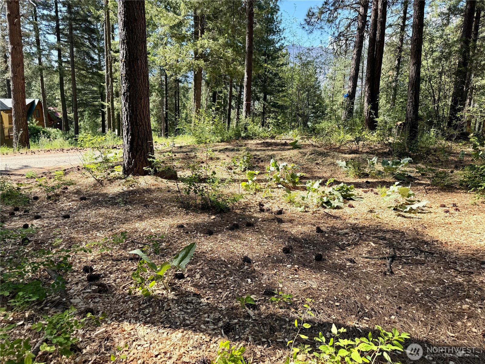 11 Highland Meadows, Winthrop, WA 98862