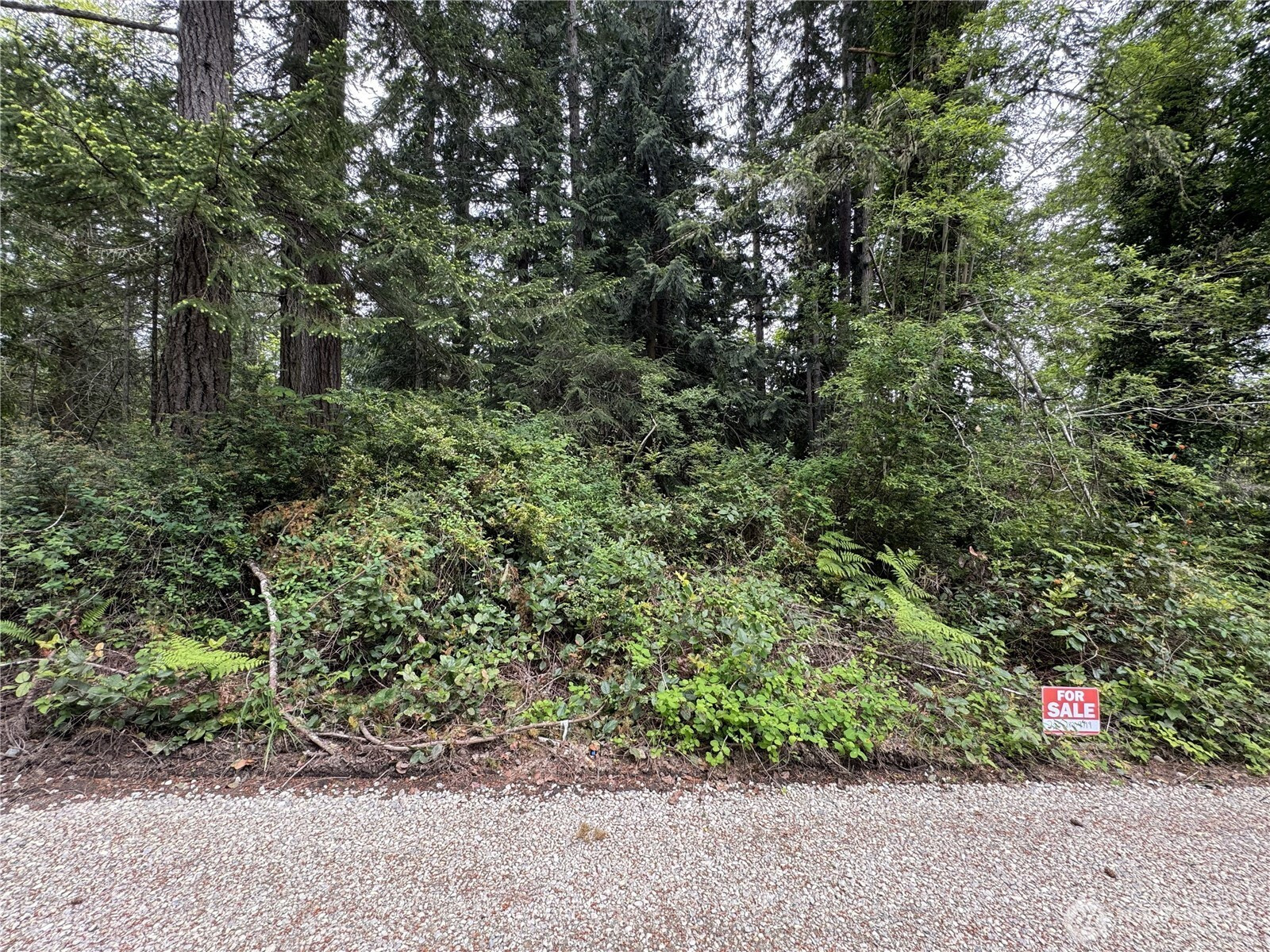 0 Moose Road, Quilcene, WA 98376