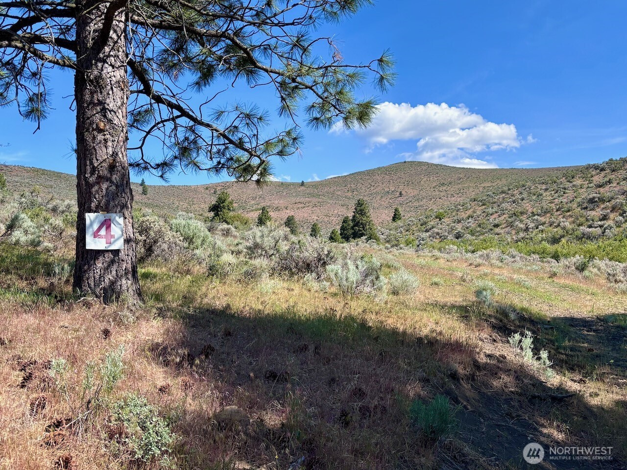4 xx Secret Canyon Road, Ellensburg, WA 98926