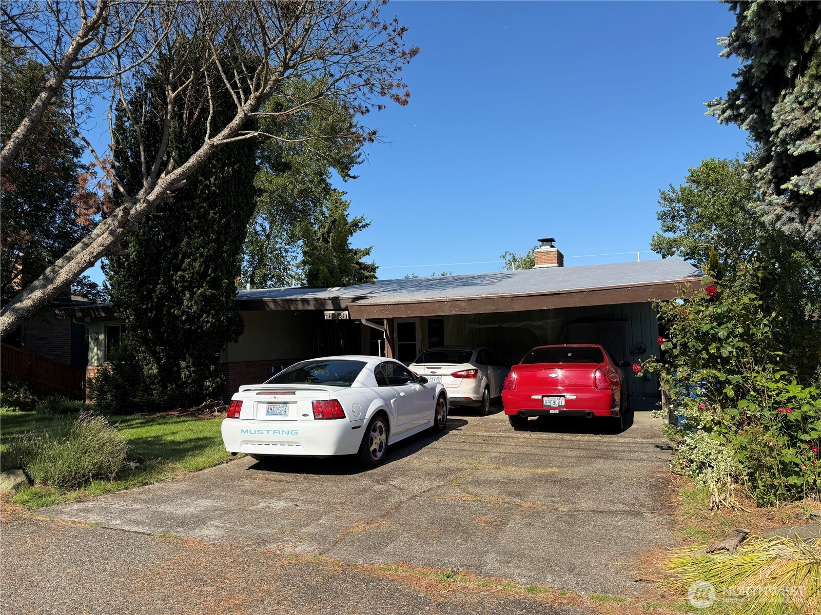 7949 20th Avenue SW, Seattle, WA 98106