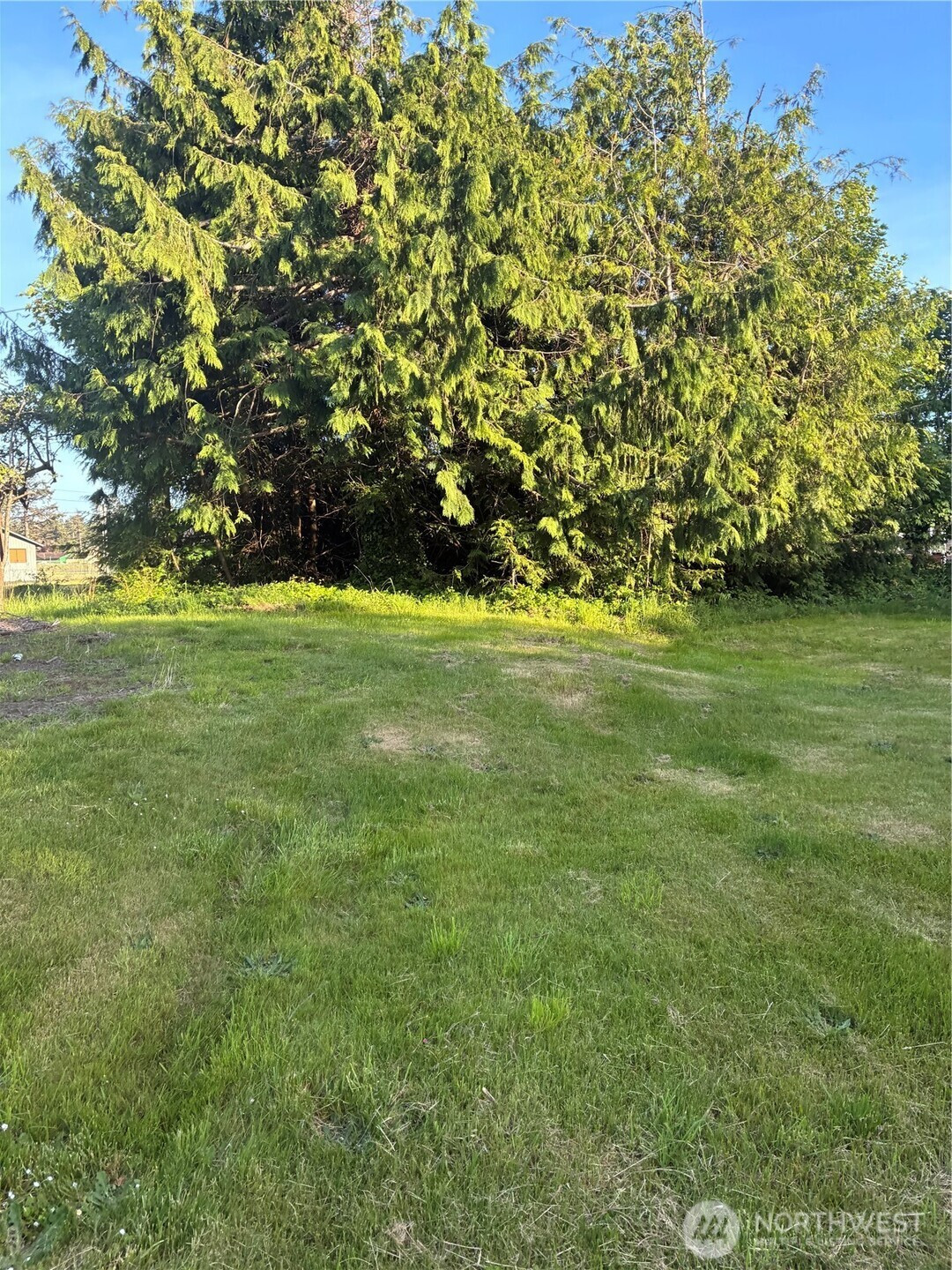 1408 256th Lot 384 Place, Ocean Park, WA 98640