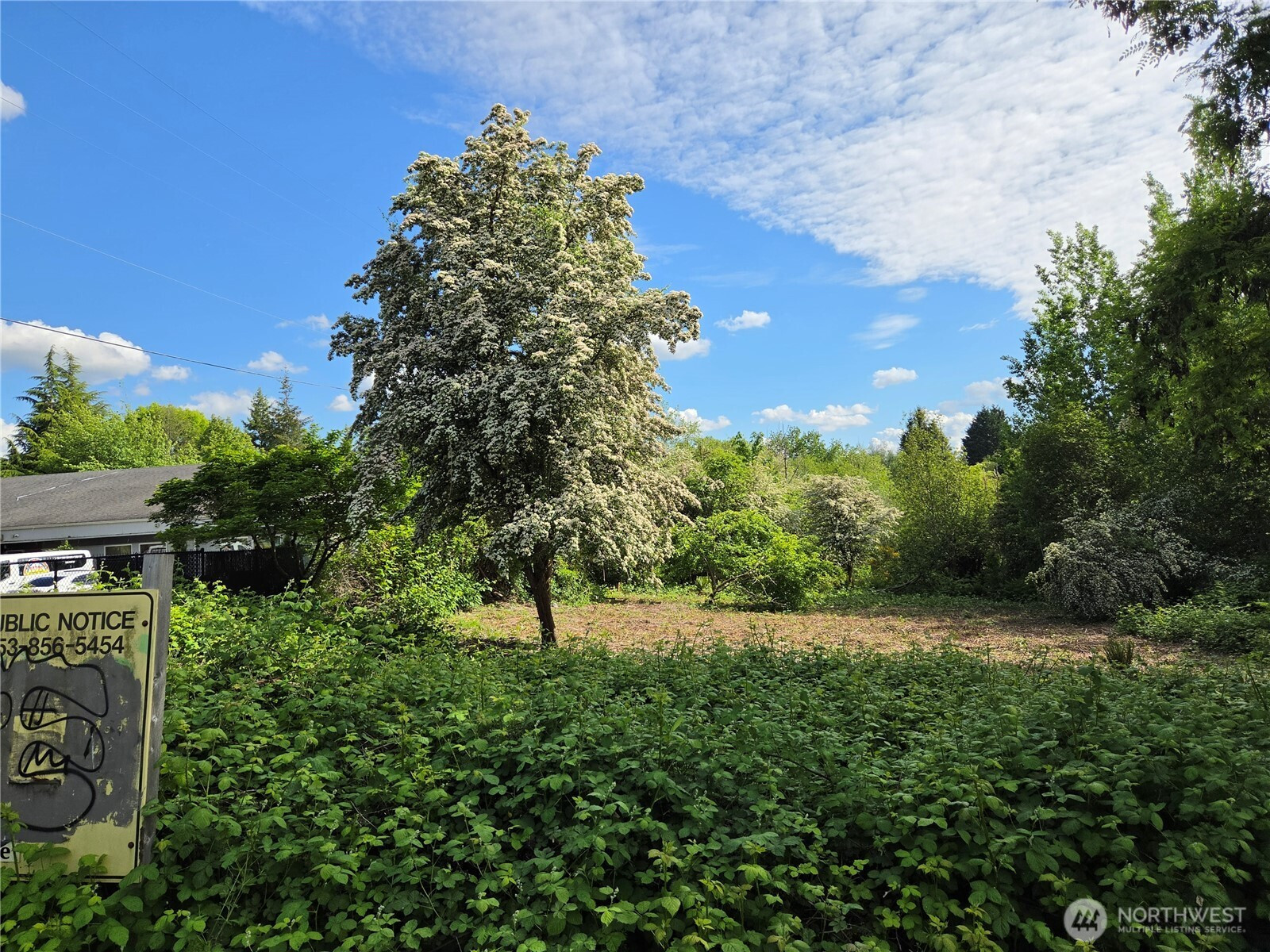 14707 SE 272nd, Kent, WA 98042