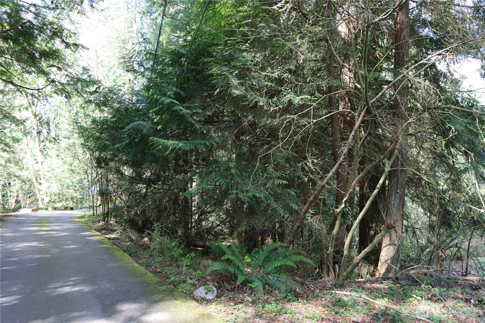 260 XX SE 18th Place, Sammamish, WA 98075