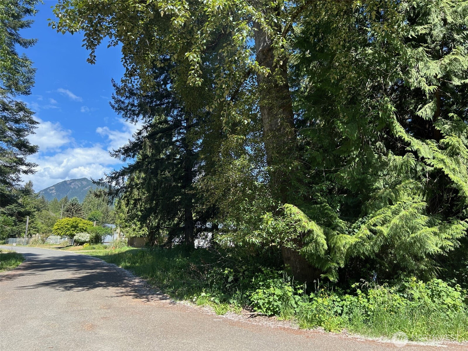 201 Morgan Lane, Brinnon, WA 98320