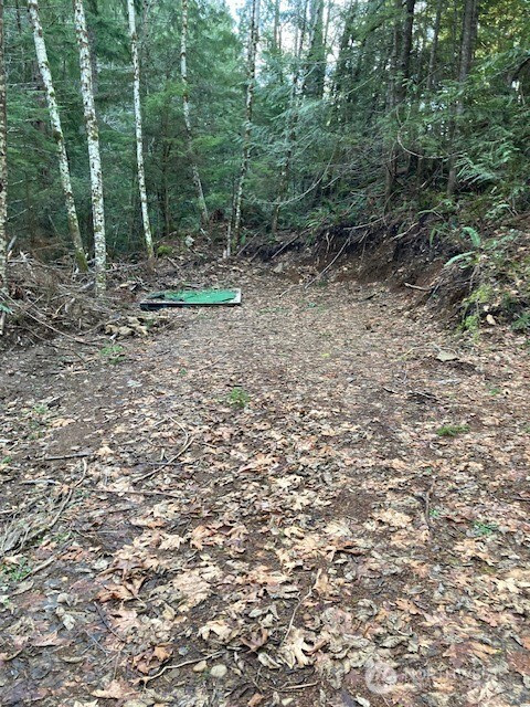 0 N Dow Ridge, Hoodsport, WA 98548