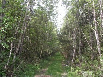 310 Oyler Road, Ethel, WA 98542