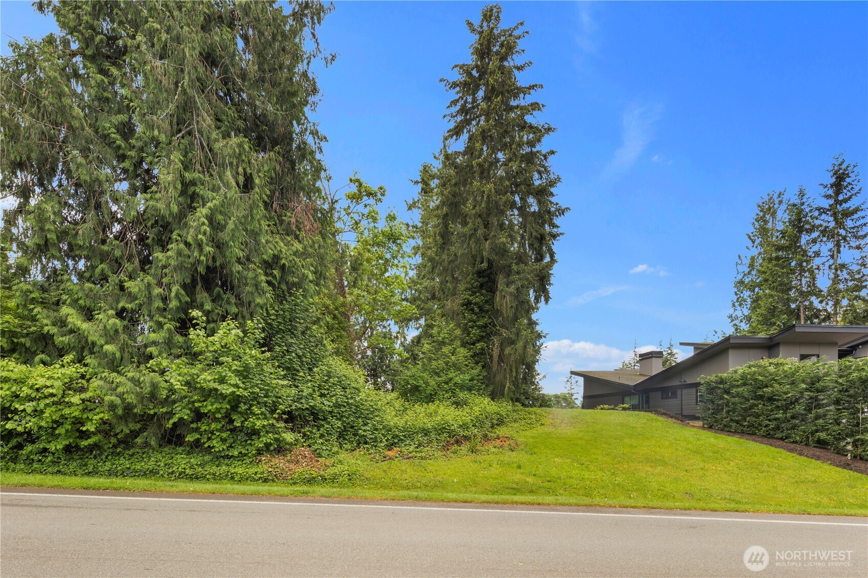 19615 SE 29th Street, Sammamish, WA 98075