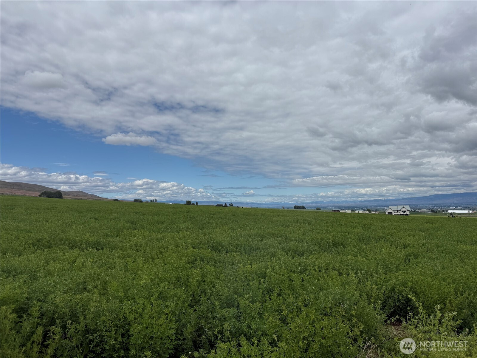 11 xx Borland Road, Ellensburg, WA 98926