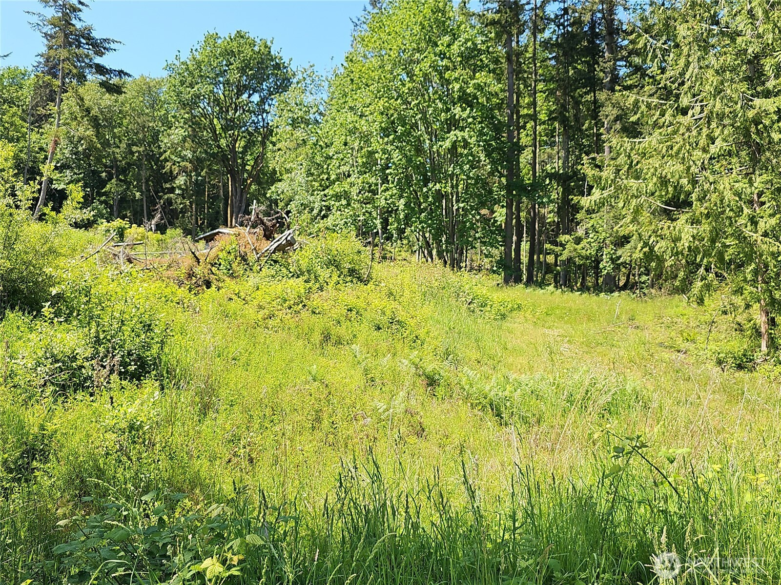 222 Triangle Cove Lane, Camano Island, WA 98282
