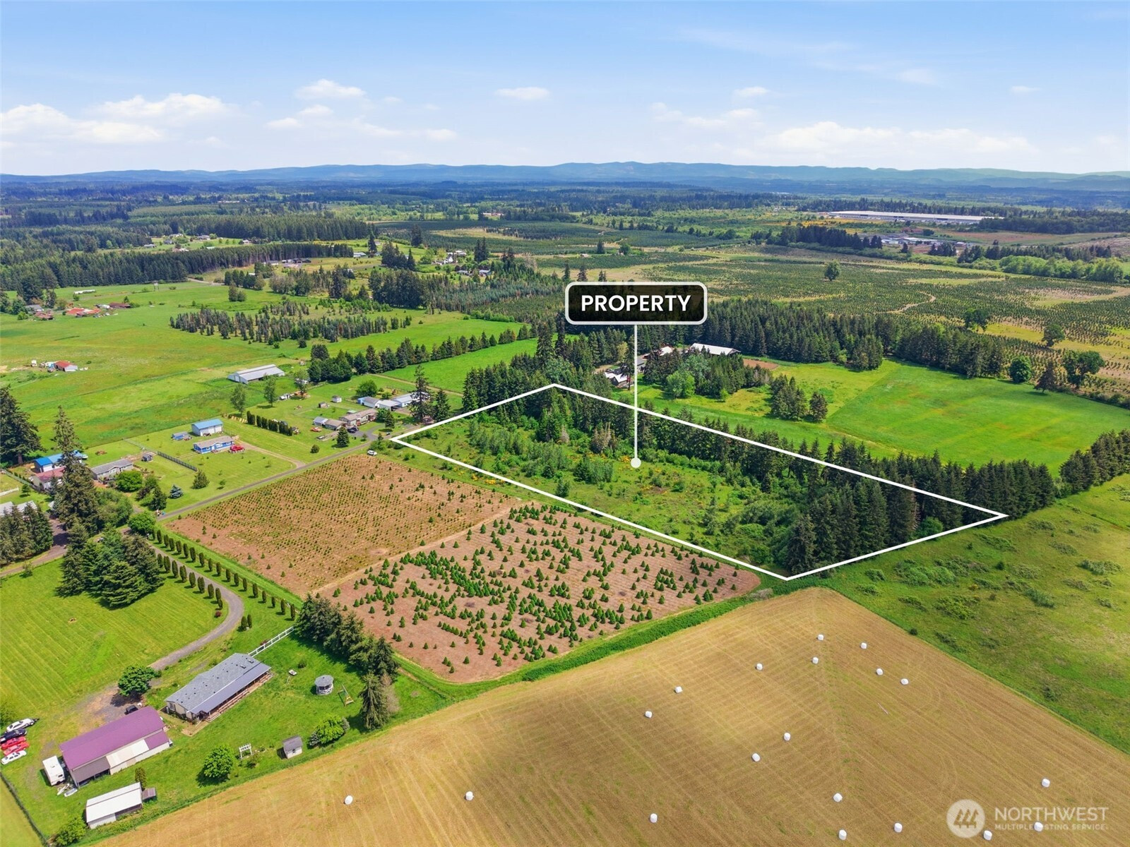 1 Shiloh Road, Winlock, WA 98596
