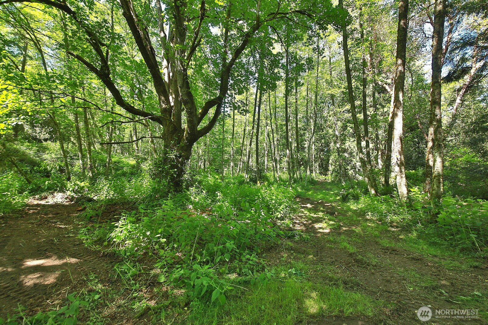 0 Foxglove, Langley, WA 98260