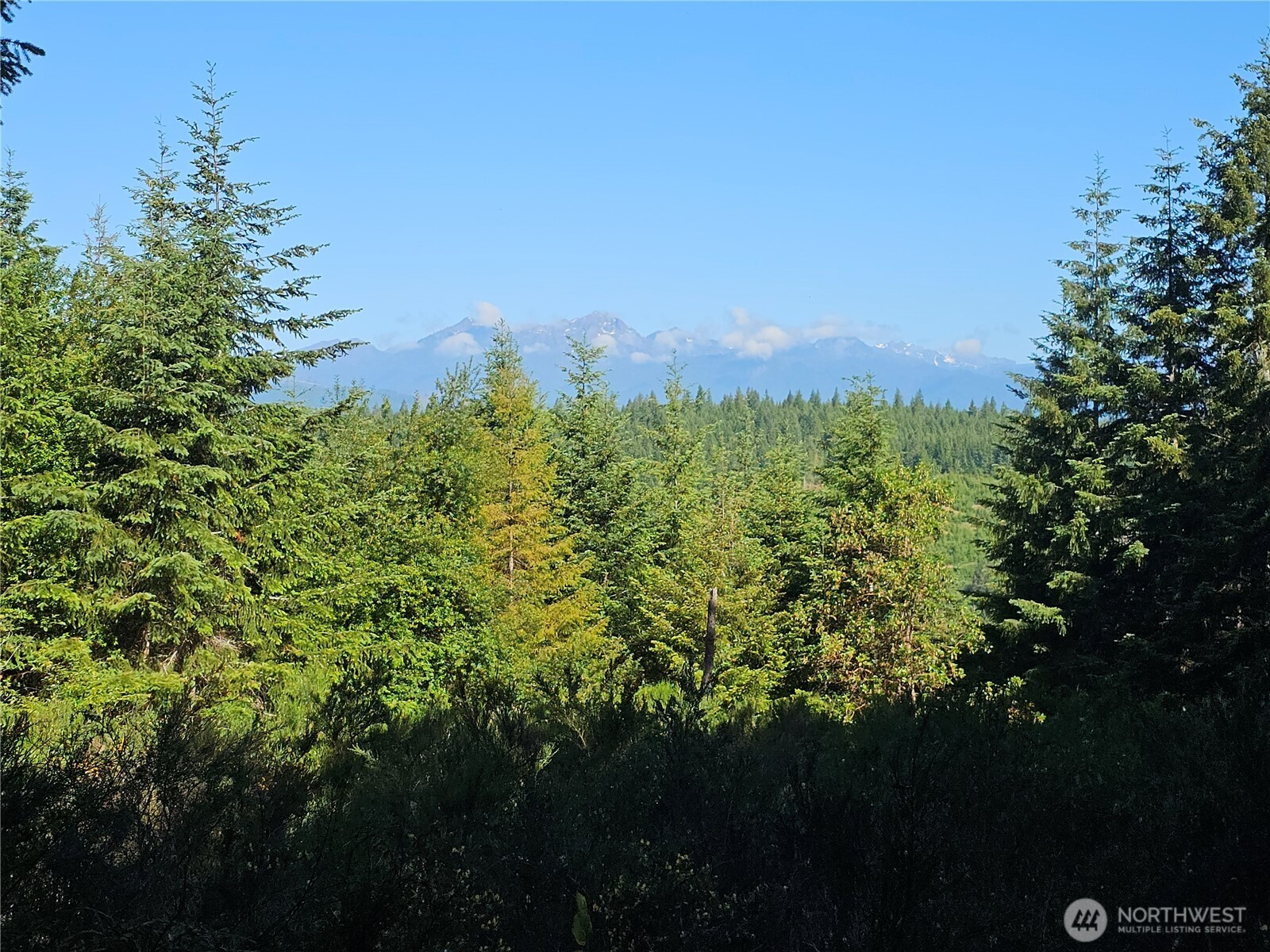 400 xxx Southridge Drive, Belfair, WA 98528