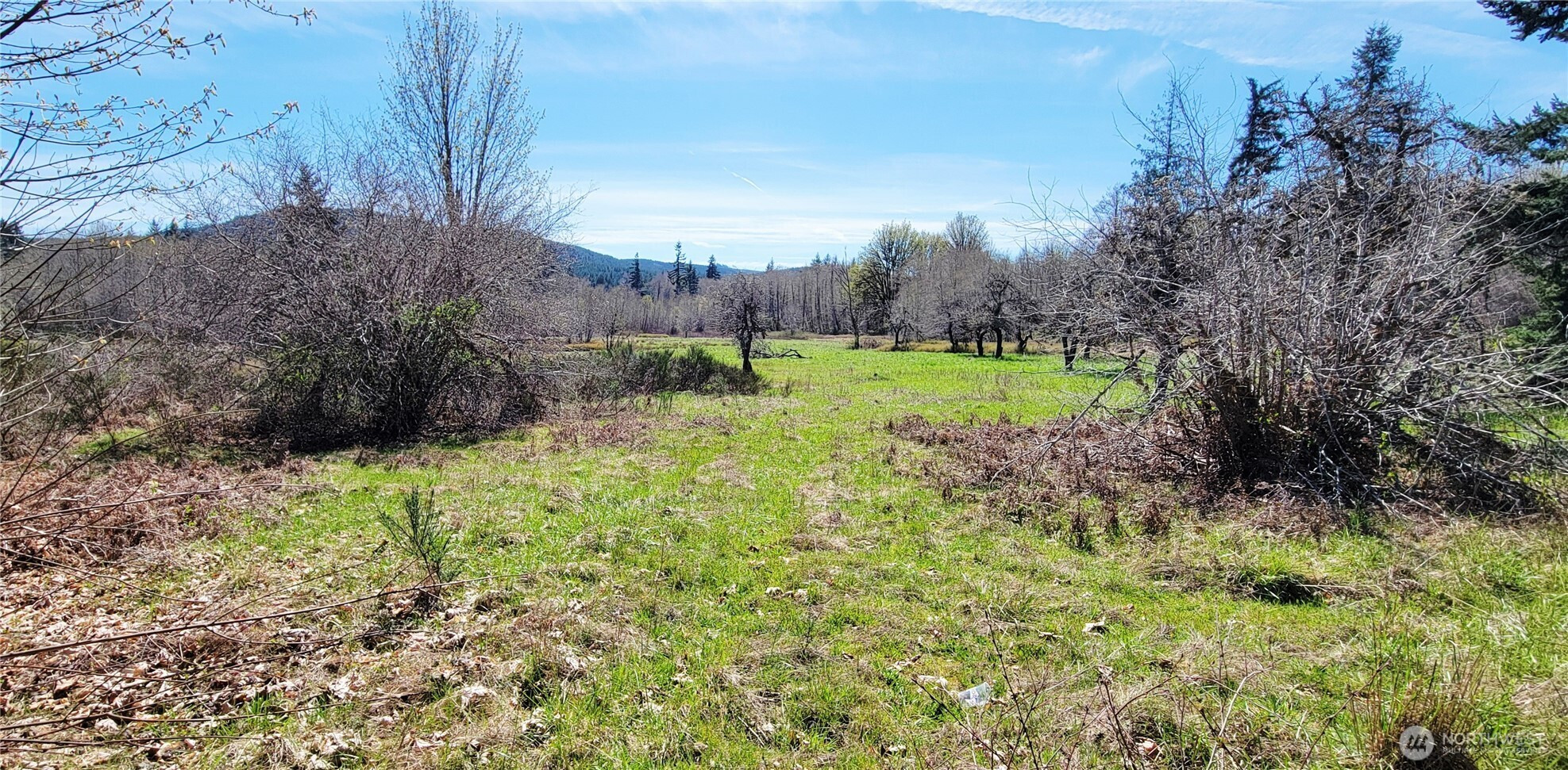 0 W Cloquallum Road, Shelton, WA 98584