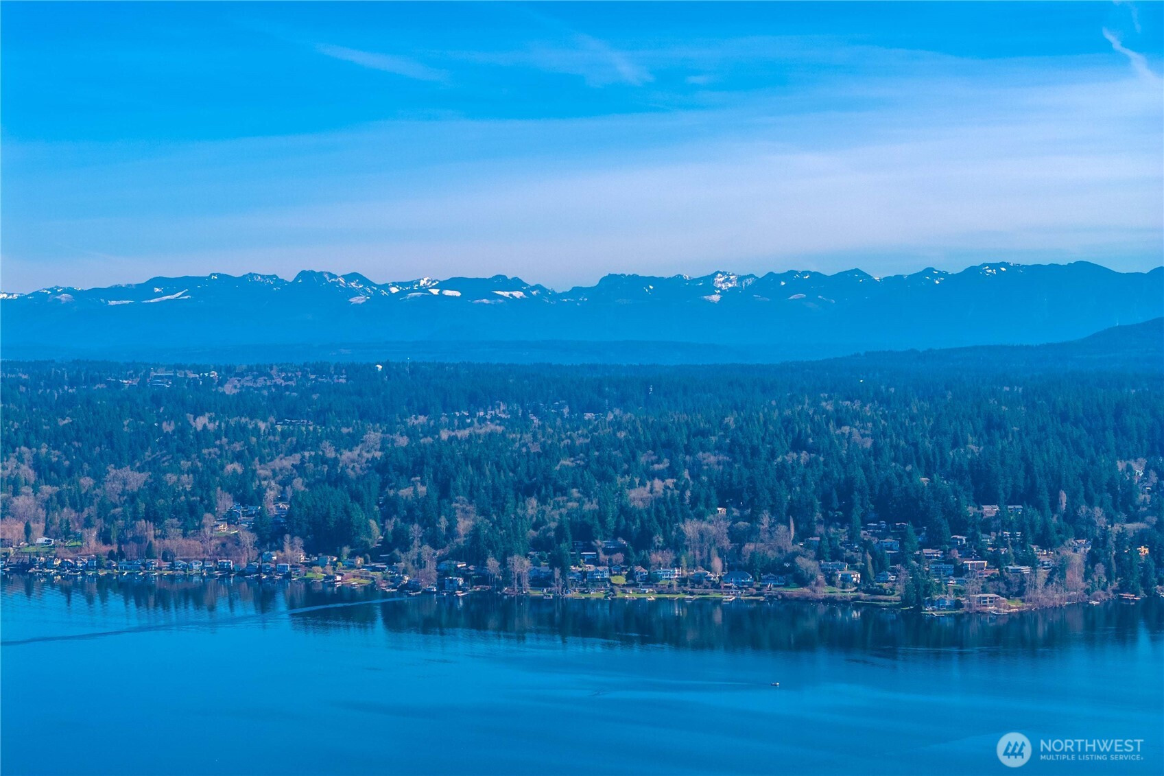 17003 SE 14th Lane, Bellevue, WA 98008