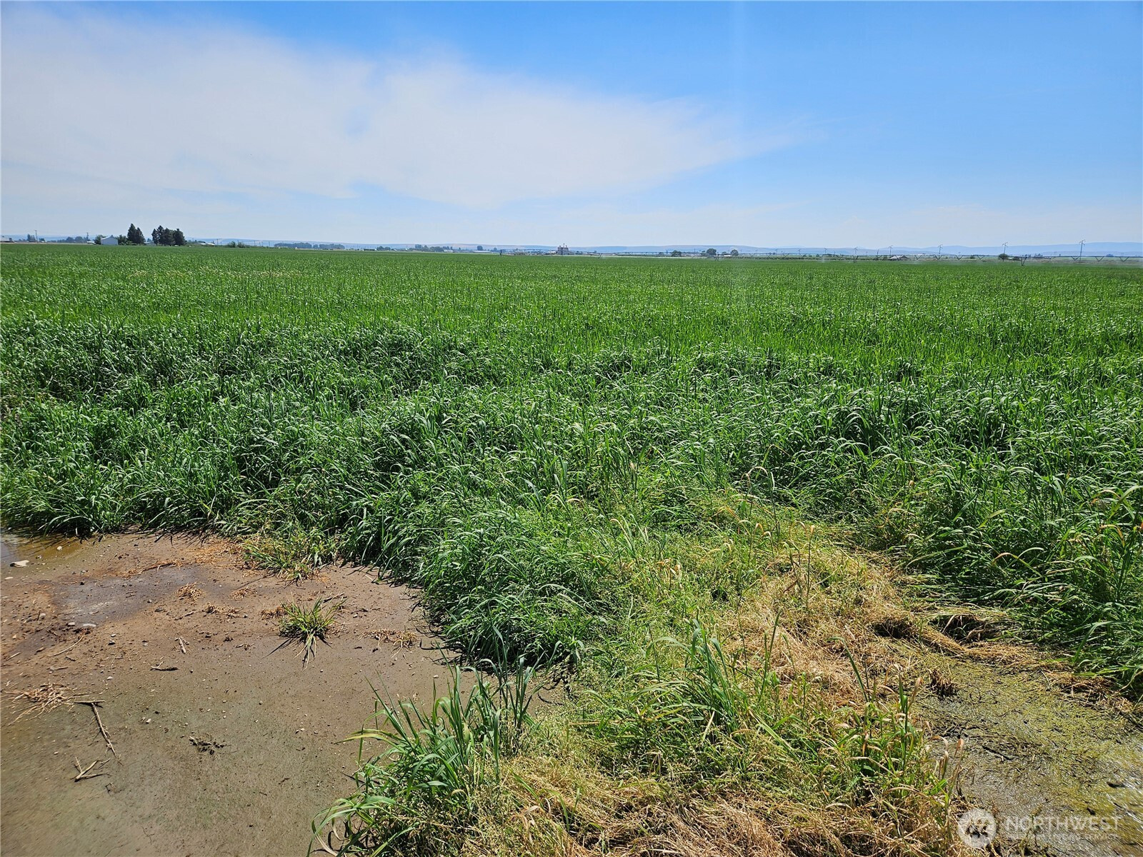 314184000 Highway 281, Quincy, WA 98848
