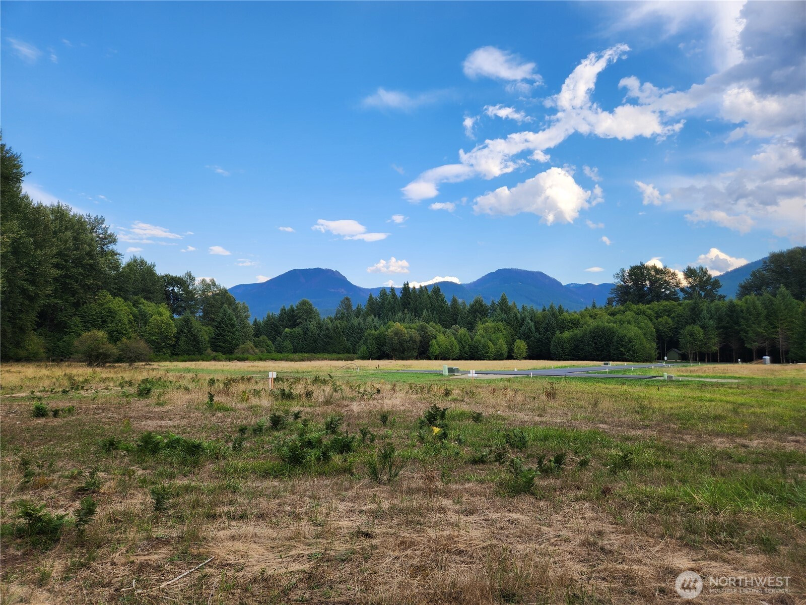 131 Campfire Lane, Packwood, WA 98361