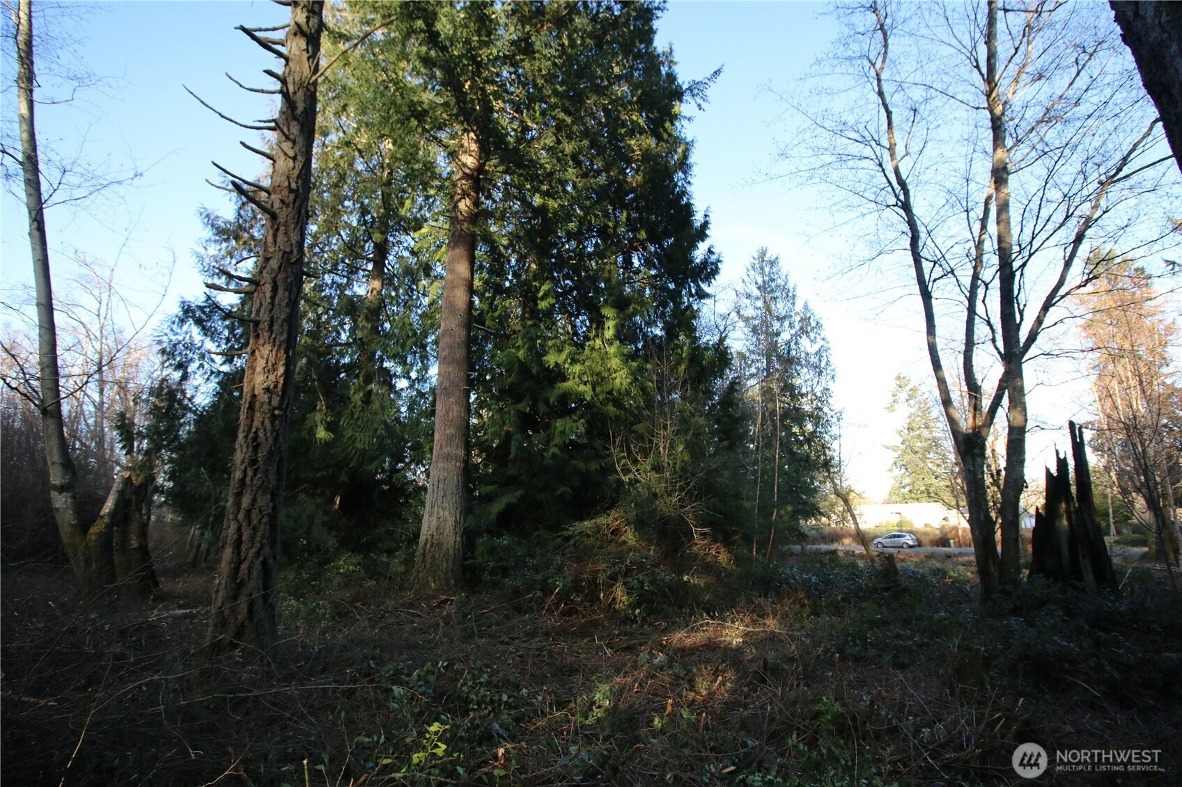 0 91st Ave SW, Vashon, WA 98070