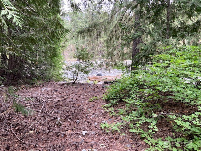 1 XX FS RD 4330, Ronald, WA 98940