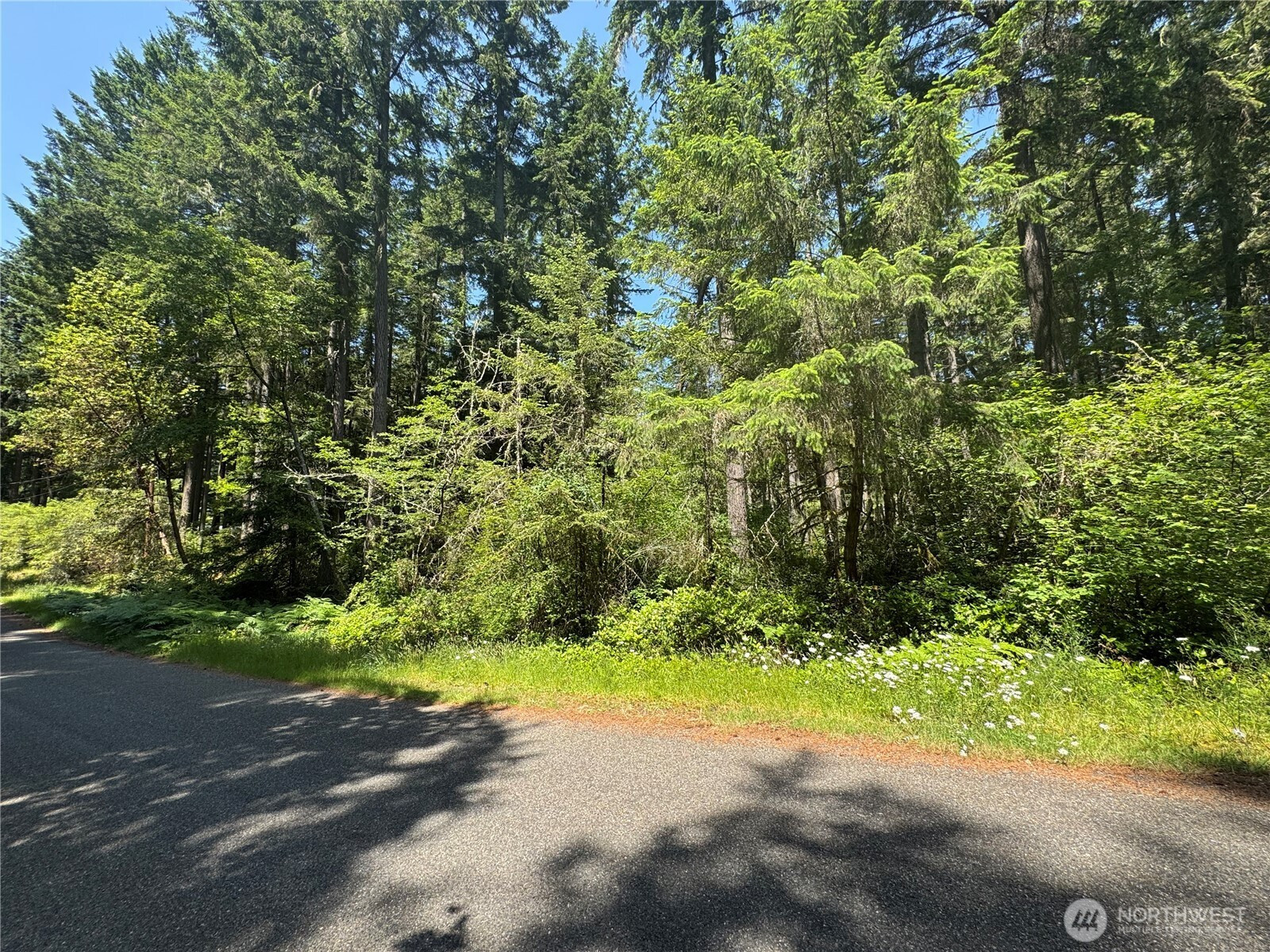 11409 & 11413 Hillcrest Drive, Anderson Island, WA 98303