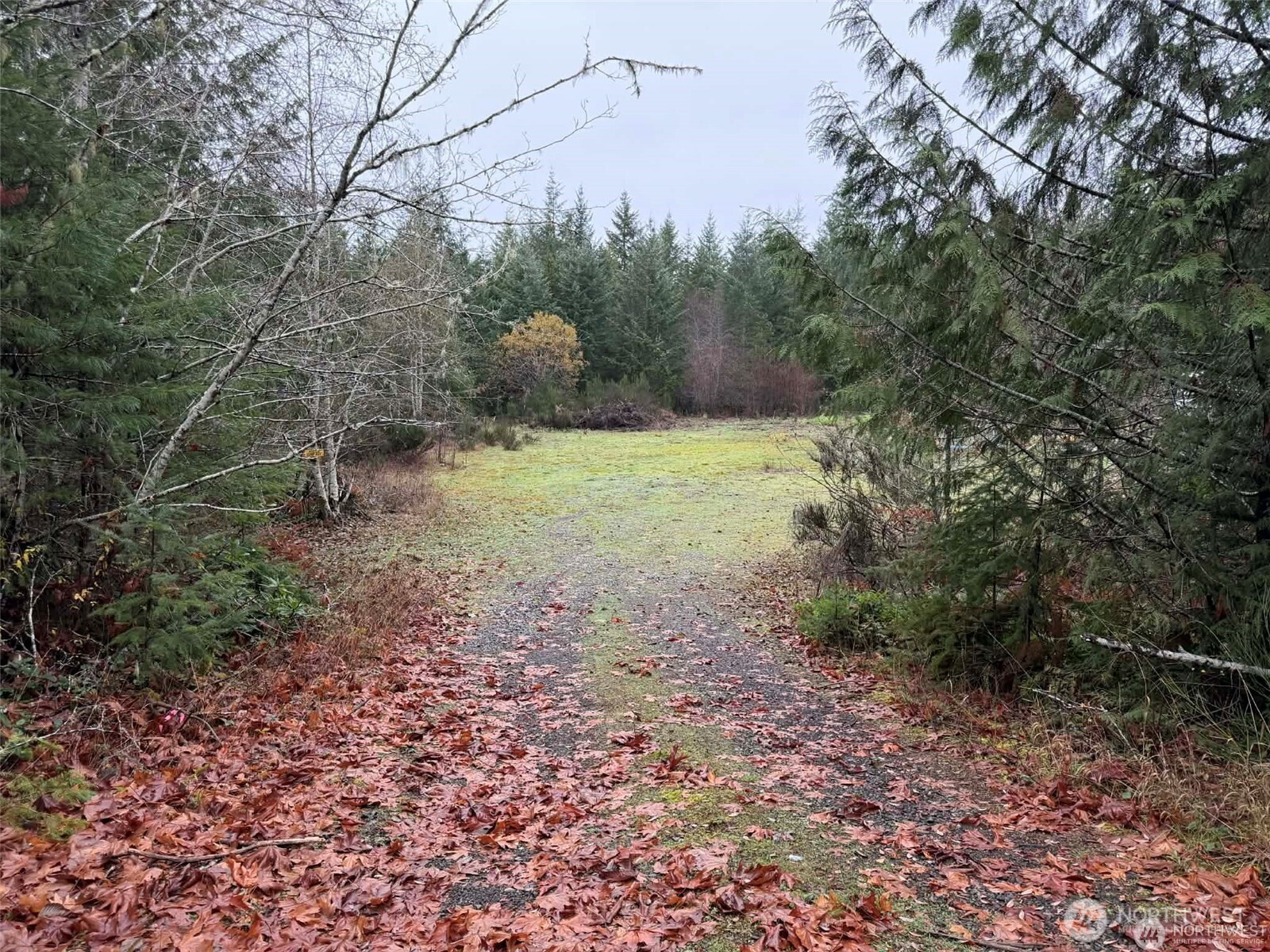 3791 NE Sandhill, Belfair, WA 98528