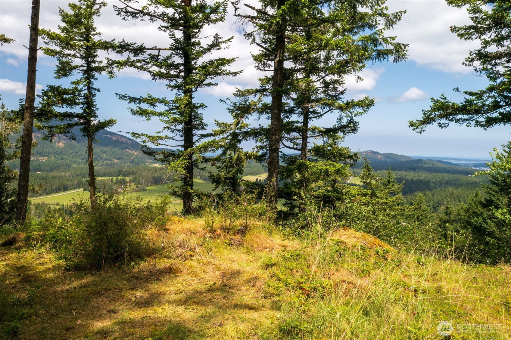 1700 Mountain Crest, Orcas Island, WA 98245