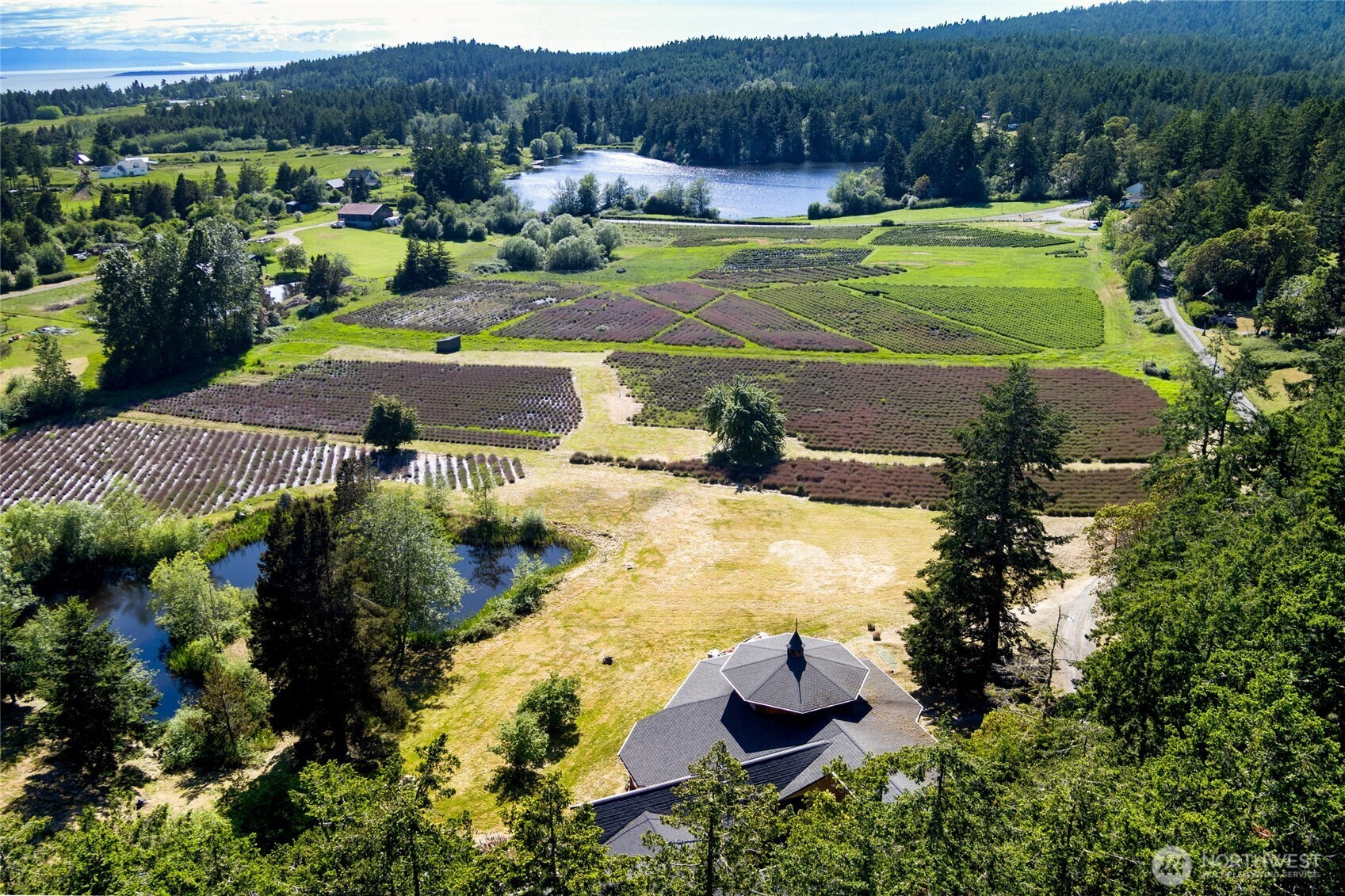 206 Hawthorne Lane, Friday Harbor, WA 98250