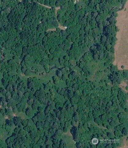 0 Cedar Grove Road, Randle, WA 98377