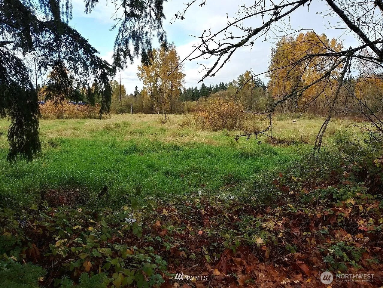 539 148th Street NE, Bellevue, WA 98007