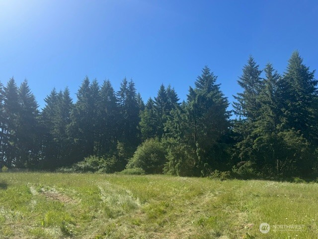 692 24 Burchett Road, Onalaska, WA 98570