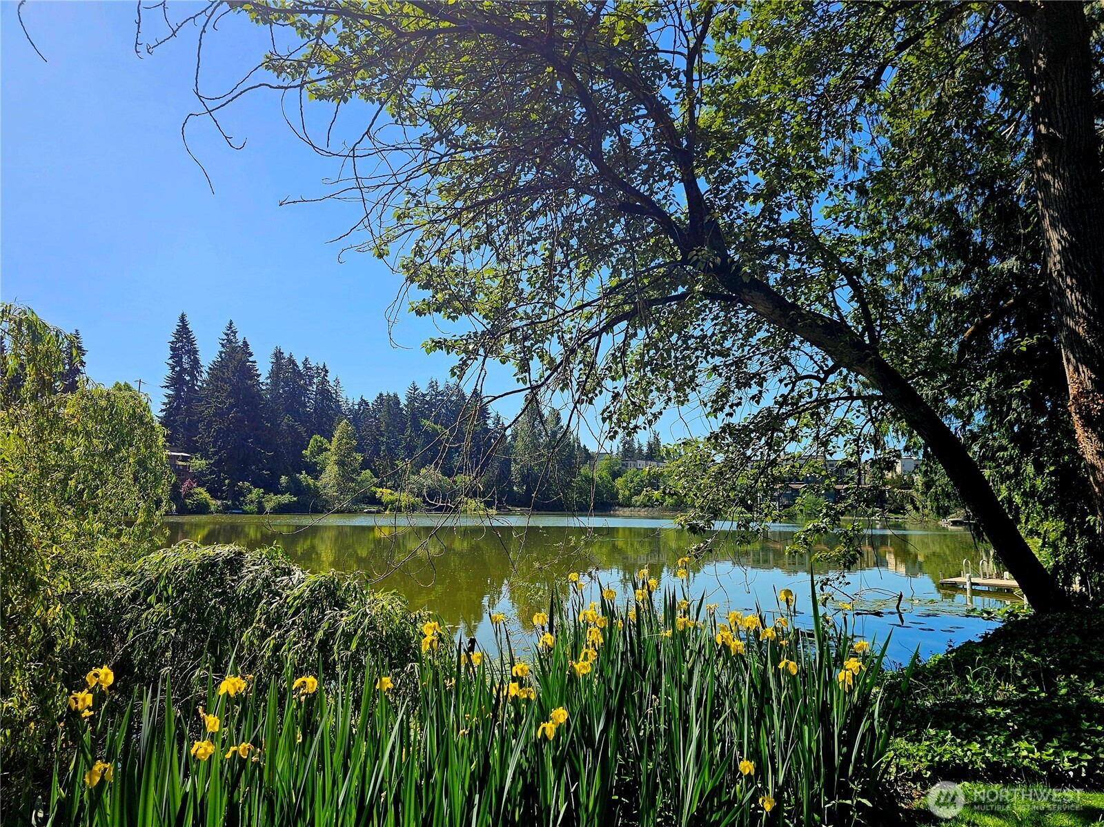 1126 N 198th, Shoreline, WA 98133