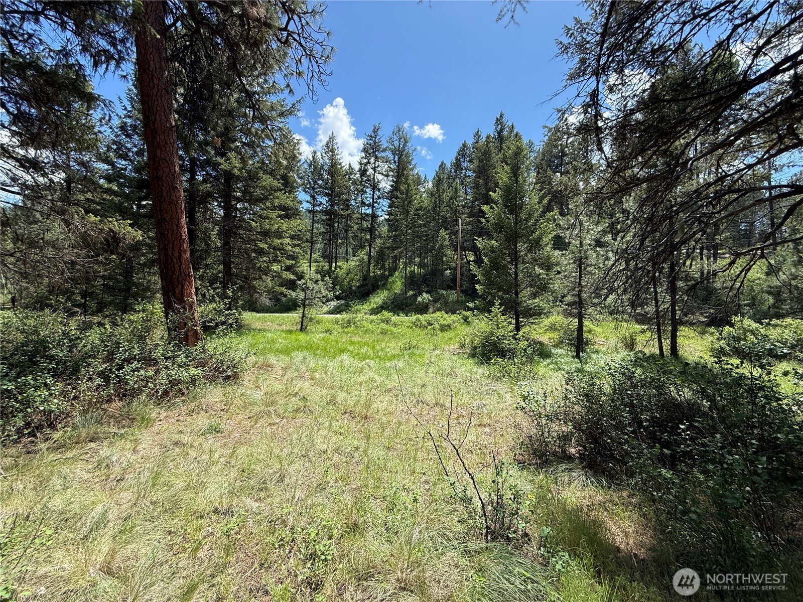 21 Pine Grove Street, Republic, WA 99166