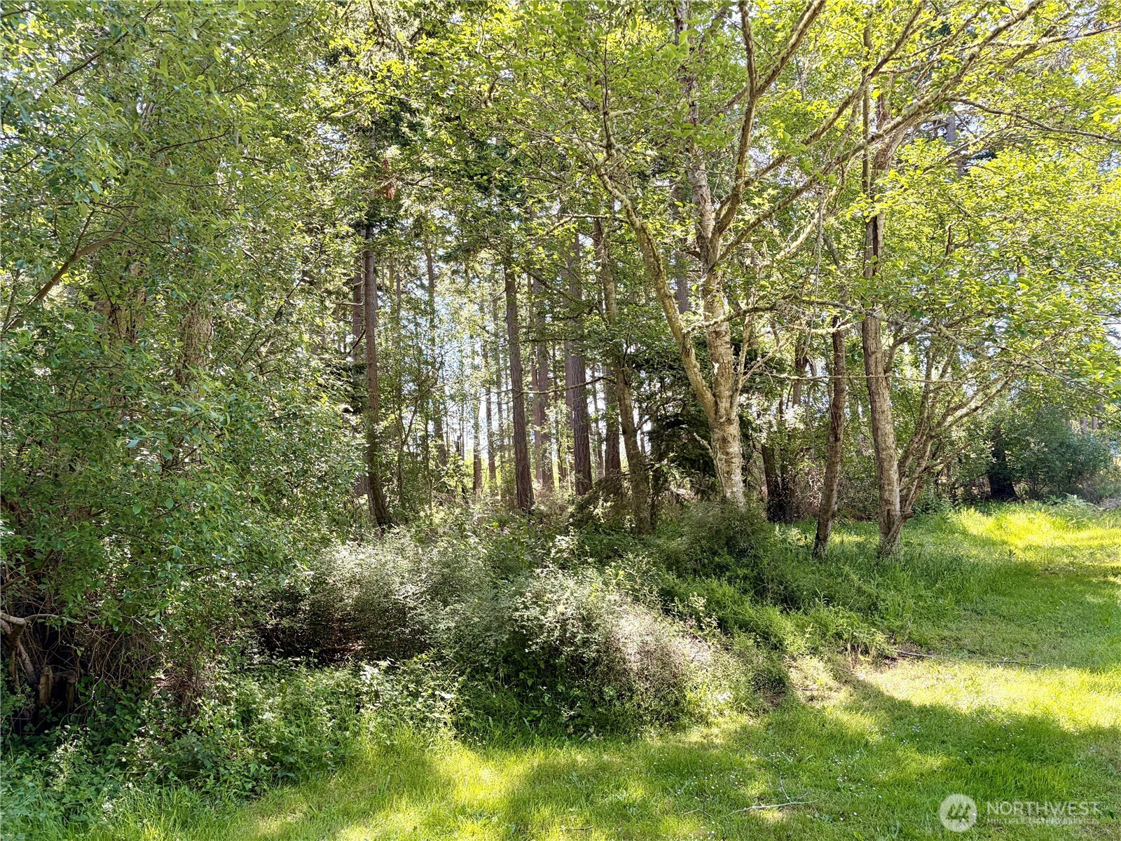 0 Old Cedar Lane, Oak Harbor, WA 98277