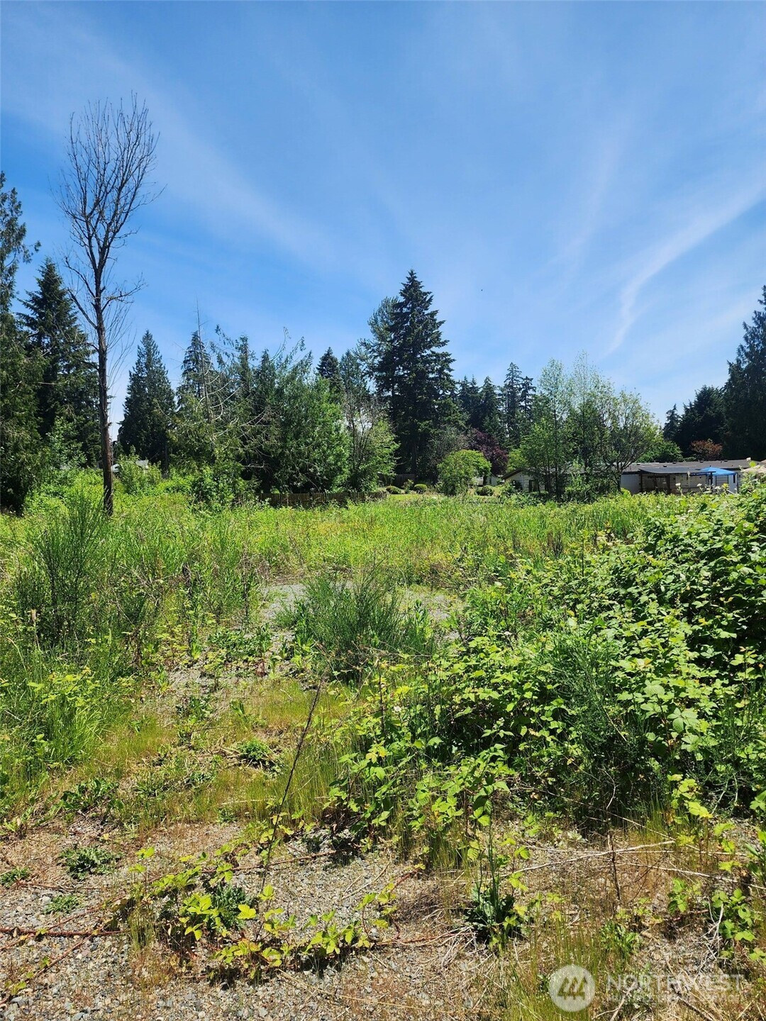 376 XX 47th Avenue S, Auburn, WA 98001