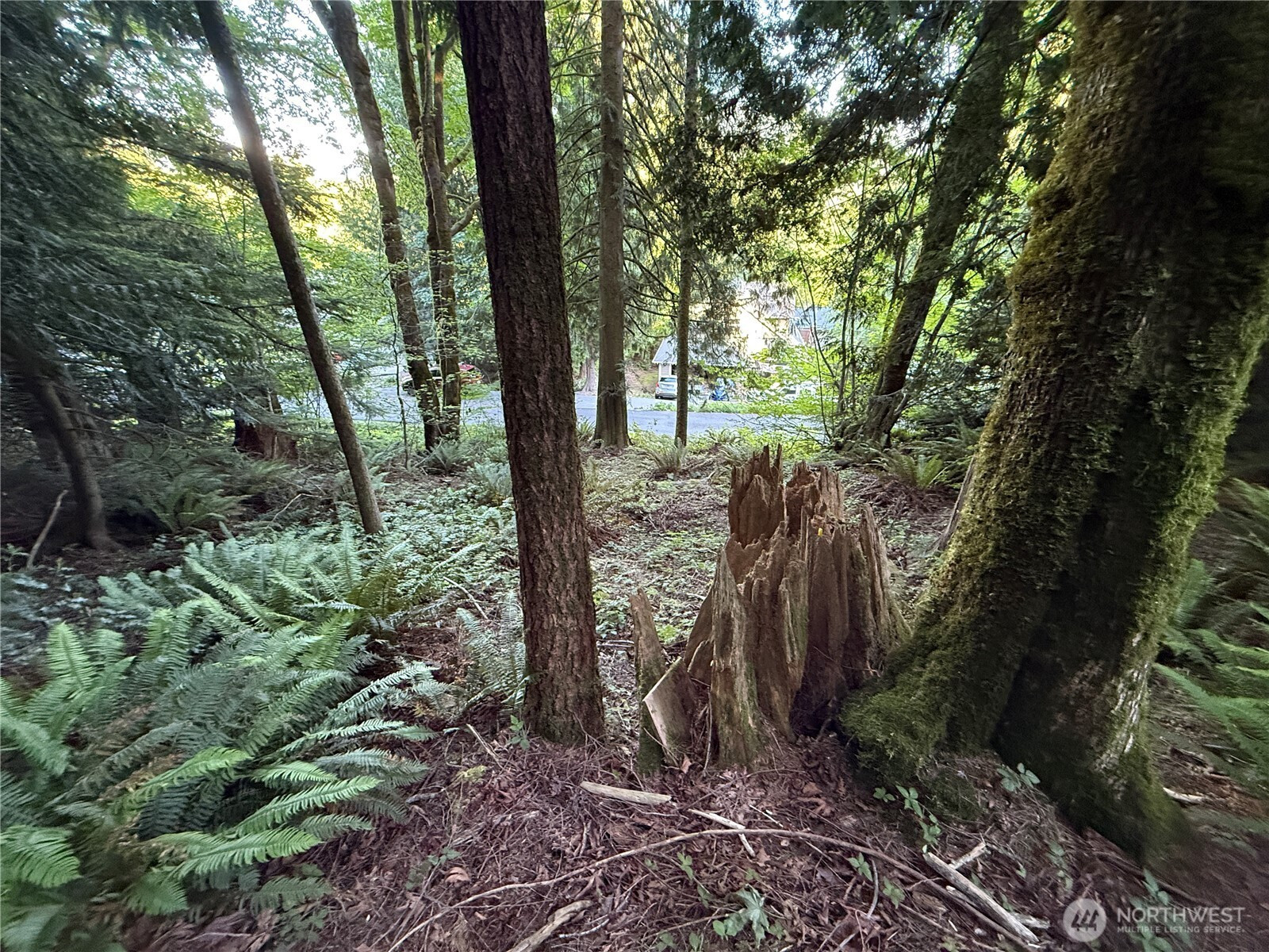 0 West Road, Sedro Woolley, WA 98284